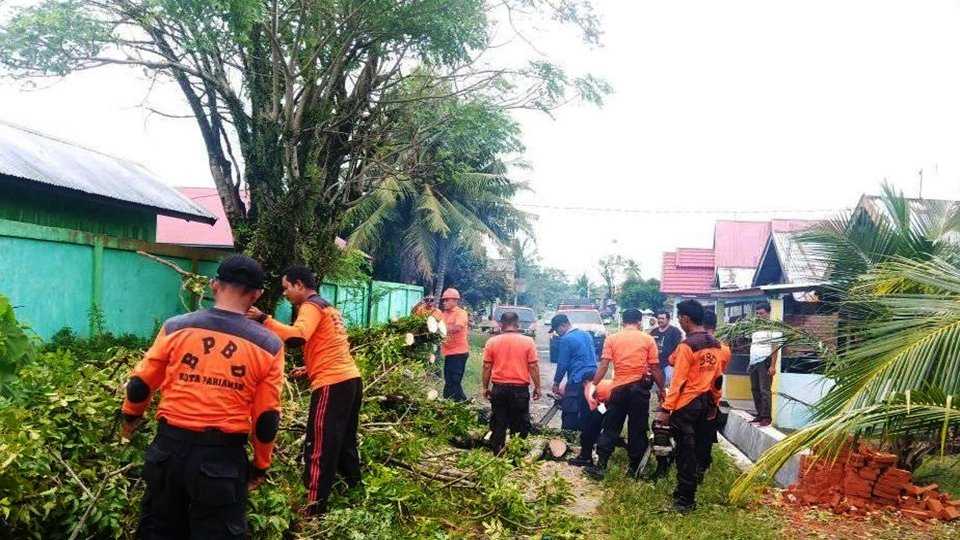 Sejak Tadi Malam, Tim BPBD Kota Pariaman Lakukan Pembersihan Pohon Tumbang