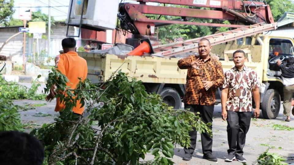 Antisipasi Cuaca Ekstrim, Wakil Walikota Pariaman “ Pohon Pelindung Harus Diremajakan”